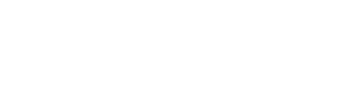 OpenDirector